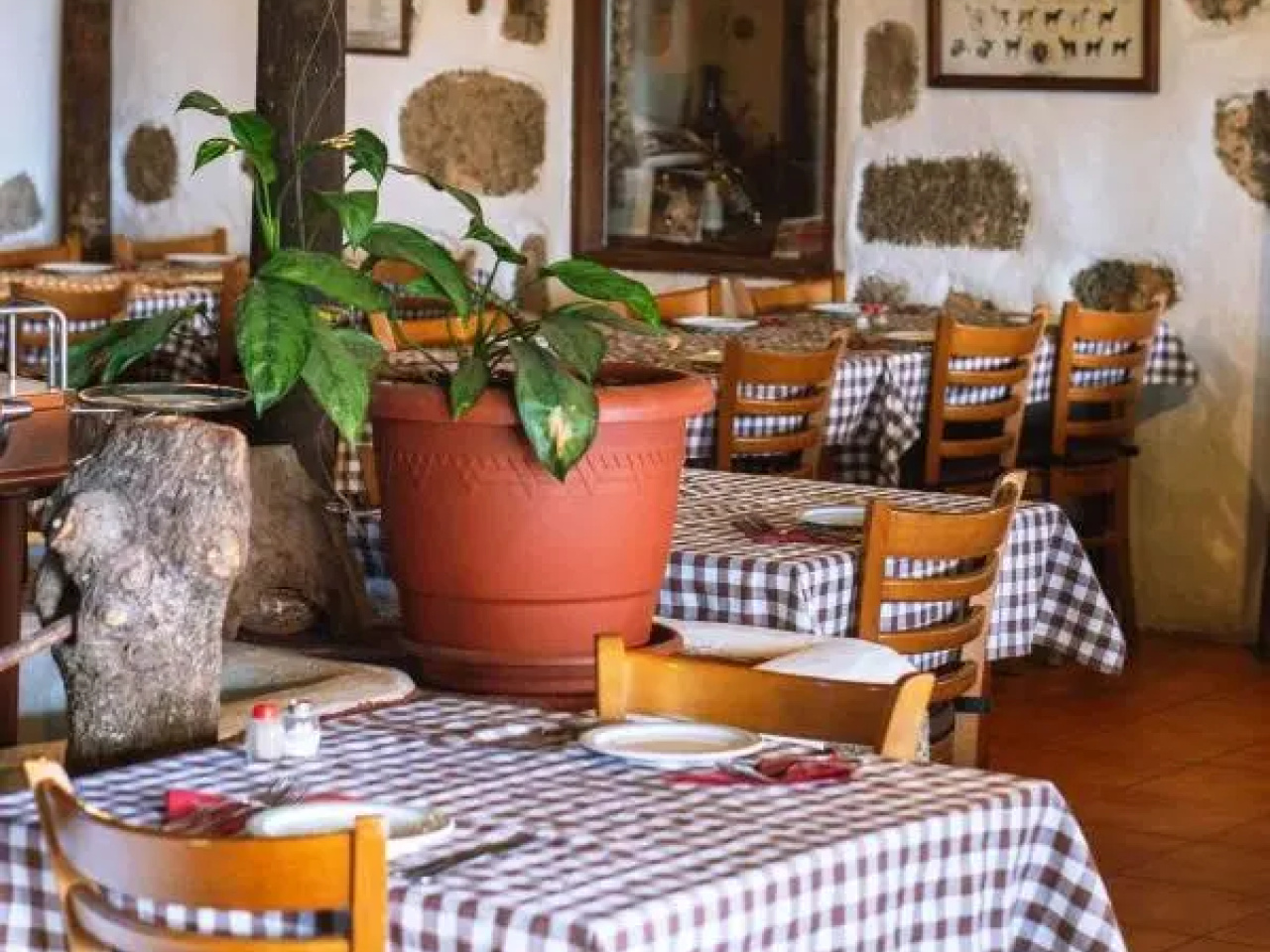 Comedor-de-El-Horno-e1736436075655.jpg