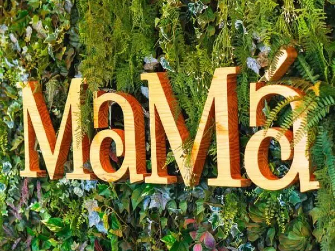 Cartel-de-Mama-Gastro-Adventure-e1736355479318.jpg