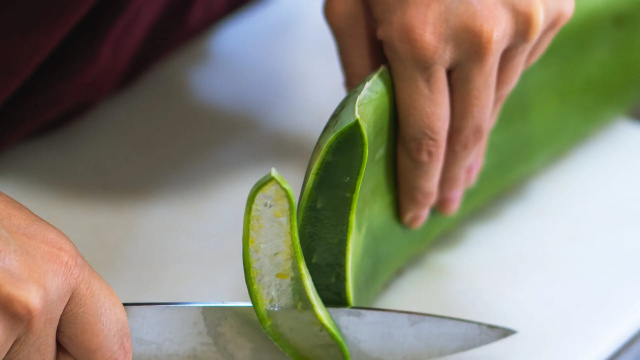 Aloe Vera Exclusive