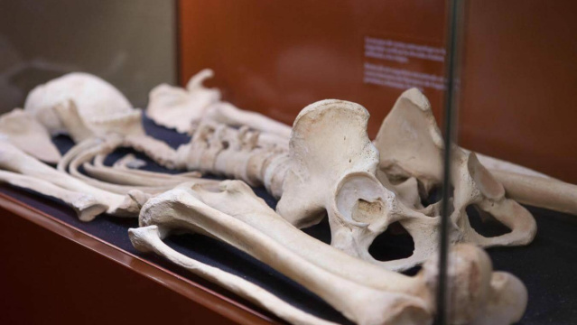 Museo Arqueológico de Fuerteventura